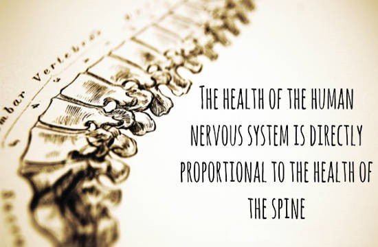 health-of-spine